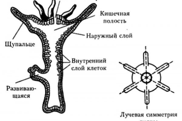 2 krn